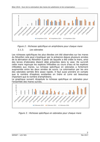 Bilan 2016 - Suivi de la colonisation des mares de substitution et de compensation
7
SEPANT – LGV SEA Mai 2017
0
1
2
3
4
5
6
7
8
S Amphibiens 2014 S Amphibiens 2015 S Amphibiens 2016
Figure 2 : Richesse spécifique en amphibiens pour chaque mare
2.1.3. Les odonates
Les richesses spécifiques les plus élevées ont été observées sur les mares
du Réveillon cela peut s’expliquer par la présence depuis plusieurs années
de la dérivation du Réveillon à partir de laquelle a été créée la mare, ainsi
des larves d’odonates étaient déjà présentes dans la vase. De surcroît
cette mare regroupe les espèces inféodées au cours d’eau et les espèces
inféodées aux mares. La richesse spécifique en odonates a fortement
augmentée entre les deux années de suivis. La colonisation par les airs
des odonates semble être assez rapide. Il faut aussi prendre en compte
que le nombre d’espèces existantes en Indre et Loire est beaucoup
important que le nombre d’amphibiens.
Le graphique suivant récapitule la richesse spécifique en odonates pour
l’ensemble des mares suivies.
0
5
10
15
20
25
S Odonates 2014 S Odonates 2015 S Odonates 2016
Figure 3 : Richesse spécifique en odonates pour chaque mare
 