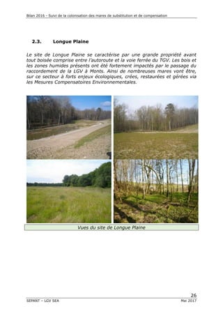 Bilan 2016 - Suivi de la colonisation des mares de substitution et de compensation
26
SEPANT – LGV SEA Mai 2017
2.3. Longue Plaine
Le site de Longue Plaine se caractérise par une grande propriété avant
tout boisée comprise entre l’autoroute et la voie ferrée du TGV. Les bois et
les zones humides présents ont été fortement impactés par le passage du
raccordement de la LGV à Monts. Ainsi de nombreuses mares vont être,
sur ce secteur à forts enjeux écologiques, crées, restaurées et gérées via
les Mesures Compensatoires Environnementales.
Vues du site de Longue Plaine
 
