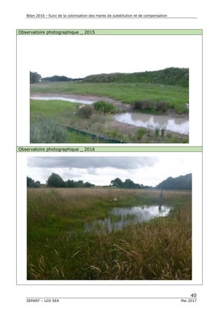 Bilan 2016 - Suivi de la colonisation des mares de substitution et de compensation
40
SEPANT – LGV SEA Mai 2017
Observatoire photographique _ 2015
Observatoire photographique _ 2016
 