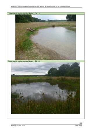 Bilan 2016 - Suivi de la colonisation des mares de substitution et de compensation
46
SEPANT – LGV SEA Mai 2017
Observatoire photographique _ 2015
Observatoire photographique _ 2016
 