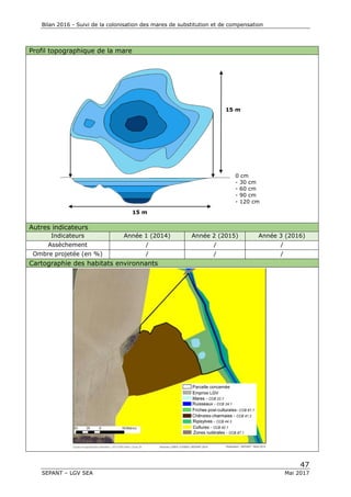 Bilan 2016 - Suivi de la colonisation des mares de substitution et de compensation
47
SEPANT – LGV SEA Mai 2017
Profil topographique de la mare
Autres indicateurs
Indicateurs Année 1 (2014) Année 2 (2015) Année 3 (2016)
Assèchement / / /
Ombre projetée (en %) / / /
Cartographie des habitats environnants
15 m
15 m
8 m
0 cm
- 30 cm
- 60 cm
- 90 cm
- 120 cm
 