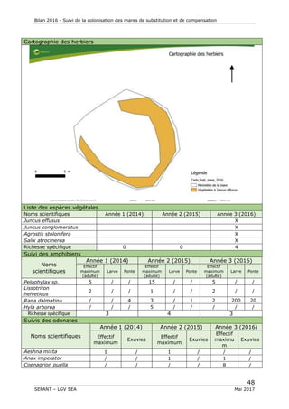 Bilan 2016 - Suivi de la colonisation des mares de substitution et de compensation
48
SEPANT – LGV SEA Mai 2017
Cartographie des herbiers
Liste des espèces végétales
Noms scientifiques Année 1 (2014) Année 2 (2015) Année 3 (2016)
Juncus effusus X
Juncus conglomeratus X
Agrostis stolonifera X
Salix atrocinerea X
Richesse spécifique 0 0 4
Suivi des amphibiens
Noms
scientifiques
Année 1 (2014) Année 2 (2015) Année 3 (2016)
Effectif
maximum
(adulte)
Larve Ponte
Effectif
maximum
(adulte)
Larve Ponte
Effectif
maximum
(adulte)
Larve Ponte
Pelophylax sp. 5 / / 15 / / 5 / /
Lissotriton
helveticus
2 / / 1 / / 2 / /
Rana dalmatina / / 4 3 / 1 2 200 20
Hyla arborea / / / 5 / / / / /
Richesse spécifique 3 4 3
Suivis des odonates
Noms scientifiques
Année 1 (2014) Année 2 (2015) Année 3 (2016)
Effectif
maximum
Exuvies
Effectif
maximum
Exuvies
Effectif
maximu
m
Exuvies
Aeshna mixta 1 / 1 / / /
Anax imperator / / 1 / 1 /
Coenagrion puella / / / / 8 /
 