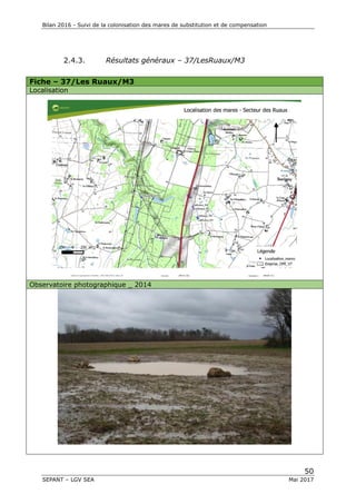 Bilan 2016 - Suivi de la colonisation des mares de substitution et de compensation
50
SEPANT – LGV SEA Mai 2017
2.4.3. Résultats généraux – 37/LesRuaux/M3
Fiche – 37/Les Ruaux/M3
Localisation
Observatoire photographique _ 2014
 