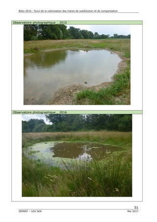 Bilan 2016 - Suivi de la colonisation des mares de substitution et de compensation
51
SEPANT – LGV SEA Mai 2017
Observatoire photographique _ 2015
Observatoire photographique _ 2016
 