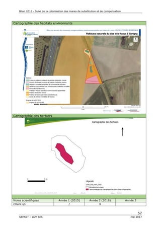 Bilan 2016 - Suivi de la colonisation des mares de substitution et de compensation
57
SEPANT – LGV SEA Mai 2017
Cartographie des habitats environnants
Cartographie des herbiers
Noms scientifiques Année 1 (2015) Année 2 (2016) Année 3
Chara sp. / X
 