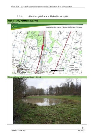 Bilan 2016 - Suivi de la colonisation des mares de substitution et de compensation
61
SEPANT – LGV SEA Mai 2017
2.5.1. Résultats généraux – 37/PotMoreaux/M1
Fiche – 37/PotMoreaux/M1
Localisation
Observatoire photographique _ 2014
 