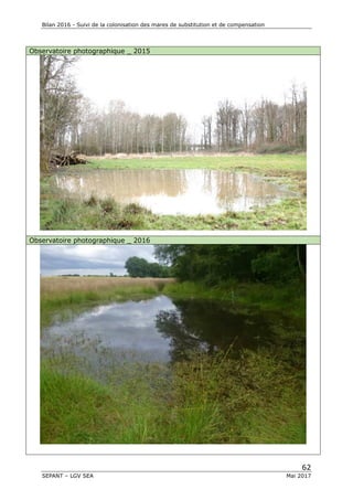 Bilan 2016 - Suivi de la colonisation des mares de substitution et de compensation
62
SEPANT – LGV SEA Mai 2017
Observatoire photographique _ 2015
Observatoire photographique _ 2016
 
