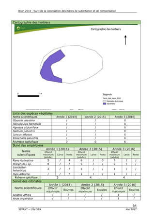 Bilan 2016 - Suivi de la colonisation des mares de substitution et de compensation
64
SEPANT – LGV SEA Mai 2017
Cartographie des herbiers
Liste des espèces végétales
Noms scientifiques Année 1 (2014) Année 2 (2015) Année 3 (2016)
Glyceria maxima / / X
Ranunculus flammula / / X
Agrostis stolonifera / / X
Gallium palustris / / X
Juncus effusus / / X
Eloecharis palustris / / X
Richesse spécifique 0 0 6
Suivi des amphibiens
Noms
scientifiques
Année 1 (2014) Année 2 (2015) Année 3 (2016)
Effectif
maximum
(adulte)
Larve Ponte
Effectif
maximum
(adulte)
Larve Ponte
Effectif
maximum
(adulte)
Larve Ponte
Rana dalmatina 5 / 4 6 / 3 6 / /
Pelophylax sp. 8 / / 5 / / 2 / /
Lissotriton
helveticus
2 / / 1 / / 1 / /
Hyla arborea / / / 1 / / 1 / /
Richesse spécifique 3 4 4
Suivis des odonates
Noms scientifiques
Année 1 (2014) Année 2 (2015) Année 3 (2016)
Effectif
maximum
Exuvies
Effectif
maximum
Exuvies
Effectif
maximum
Exuvies
Aeshna affinis / / / / 1 /
Anax imperator / / / / 1 /
 