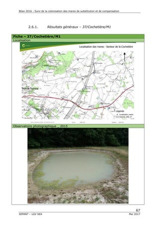 Bilan 2016 - Suivi de la colonisation des mares de substitution et de compensation
67
SEPANT – LGV SEA Mai 2017
2.6.1. Résultats généraux – 37/Cochetière/M1
Fiche – 37/Cochetière/M1
Localisation
Observatoire photographique _ 2015
 