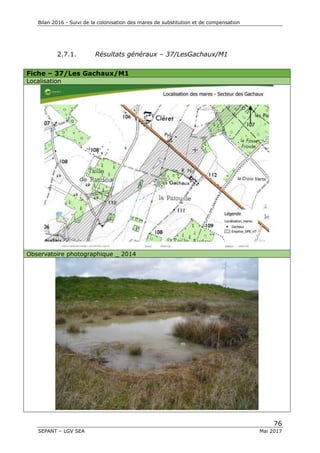 Bilan 2016 - Suivi de la colonisation des mares de substitution et de compensation
76
SEPANT – LGV SEA Mai 2017
2.7.1. Résultats généraux – 37/LesGachaux/M1
Fiche – 37/Les Gachaux/M1
Localisation
Observatoire photographique _ 2014
 