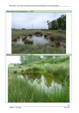 Bilan 2016 - Suivi de la colonisation des mares de substitution et de compensation
77
SEPANT – LGV SEA Mai 2017
Observatoire photographique _ 2015
Observatoire photographique _ 2016
 