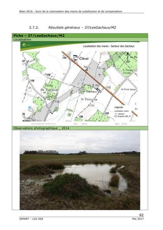 Bilan 2016 - Suivi de la colonisation des mares de substitution et de compensation
82
SEPANT – LGV SEA Mai 2017
2.7.2. Résultats généraux – 37/LesGachaux/M2
Fiche – 37/LesGachaux/M2
Localisation
Observatoire photographique _ 2014
 