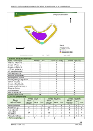 Bilan 2016 - Suivi de la colonisation des mares de substitution et de compensation
85
SEPANT – LGV SEA Mai 2017
Liste des espèces végétales
Noms scientifiques Année 1 (2014) Année 2 (2015) Année 3 (2016)
Verbena officinalis L. X X X
Juncus effusus L. X X X
Juncus bulbosus L. X X X
Lythrum salicaria L. X X X
Iris pseudocorus L. X X X
Plantago major L. X / /
Agrostis stolonifera L. X X X
Potamogeton natans / / X
Alisma plantago-aquatica. X X X
Galium palustre L. X X X
Juncus articulatus L. X X X
Juncus conglomeratus L. X X X
Glyceria fluitans X X X
Holcus lanatus X X X
Mentha aquatica X X X
Richesse spécifique 14 13 14
Suivi des amphibiens
Noms
scientifiques
Année 1 (2014) Année 2 (2015) Année 3 (2016)
Effectif
maximum
(adulte)
Larve Ponte
Effectif
maximum
(adulte)
Larve Ponte
Effectif
maximum
(adulte)
Lar
ve
Ponte
Rana dalmatina 7 5 13 7 20 8 1 / 13
Pelophylax sp. 9 / / 15 / / 6 / /
Hyla arborea 3 / / 5 / / 4 / /
Lissotriton
helveticus
14 / / 12 / / 3 / /
Triturus cristatus / / / 3 / / / / /
Richesse spécifique 4 5 4
 