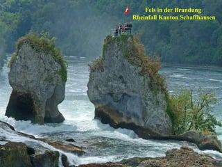 Fels in der Brandung  Rheinfall Kanton Schaffhausen 