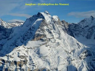Jungfrau - (Lieblingsfrau des Mannes) 