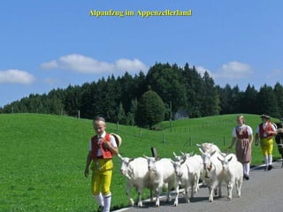 Alpaufzug im Appenzellerland

 