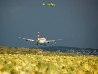 Im Anflug

 