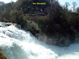Der Rheinfall

 
