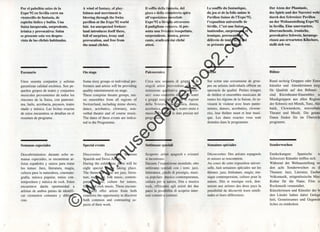 ©
w
w
w
.m
useodelaexpo92.com
 