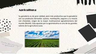 Agricultura
Su ganadería es de gran calidad, pero más productiva que la ganadería
son sus productos derivados: quesos, mantequilla, yogures y su mezcla
con chocolate, origen de la mayor multinacional agroalimentaria del
mundo (Nestlé). Esta apuesta por la agroindustria es uno de los grandes
valores de la agricultura suiza.
 