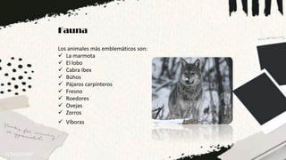 Fauna
Los animales más emblemáticos son:
 La marmota
 El lobo
 Cabra Ibex
 Búhos
 Pájaros carpinteros
 Fresno
 Roedores
 Ovejas
 Zorros
 Víboras
 