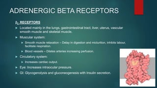ADRENERGIC BETA RECEPTORS
b2 RECEPTORS
 Located mainly in the lungs, gastrointestinal tract, liver, uterus, vascular
smooth muscle and skeletal muscle.
 Muscular system:
 Smooth muscle relaxation – Delay in digestion and micturition, inhibits labour,
facilitate respiration.
 Blood vessels – Dilates arteries increasing perfusion.
 Circulatory system:
 Increases cardiac output.
 Eye: Increases intraocular pressure.
 GI: Glycogenolysis and gluconeogenesis with Insulin secretion.
 