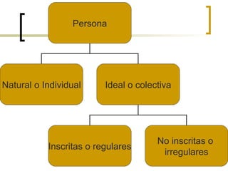 Persona Natural o Individual Ideal o colectiva Inscritas o regulares No inscritas o  irregulares 