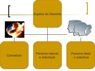 Sujetos de Derecho Concebido Persona natural  o individual  Persona ideal o colectiva 