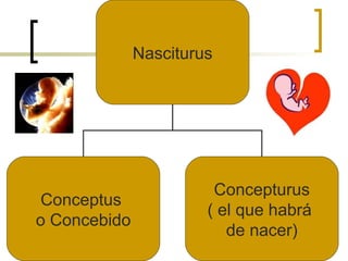 Nasciturus Conceptus  o Concebido Concepturus ( el que habrá  de nacer) 