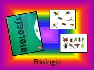 Biologie
 
