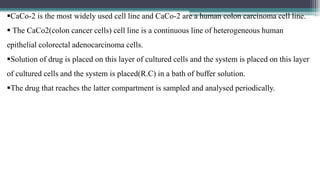 drug product performance invivo | PPTX