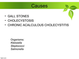 Causes
• GALL STONES
• CHOLECYSTOSIS
• CHRONIC ACALCULOUS CHOLECYSTITIS
Organisms:
Klebsiella
Steptococci
Salmonella
 