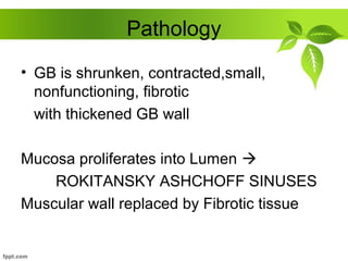 Pathology
• GB is shrunken, contracted,small,
nonfunctioning, fibrotic
with thickened GB wall
Mucosa proliferates into Lumen 
ROKITANSKY ASHCHOFF SINUSES
Muscular wall replaced by Fibrotic tissue
 