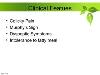 Clinical Featues
• Colicky Pain
• Murphy’s Sign
• Dyspeptic Symptoms
• Intolerance to fatty meal
 