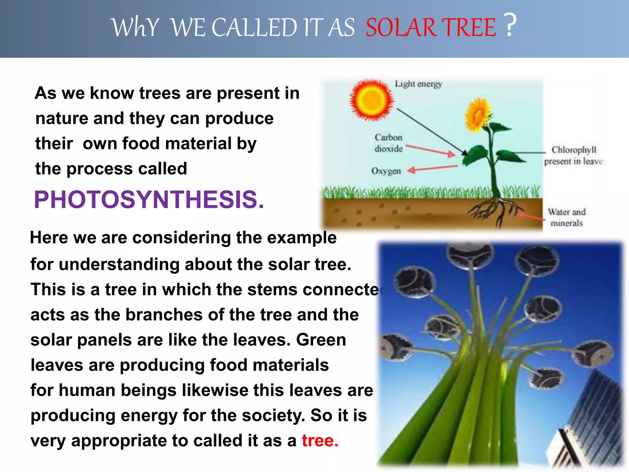 As we know trees are present in
nature and they can produce
their own food material by
the process called
PHOTOSYNTHESIS.
Here we are considering the example
for understanding about the solar tree.
This is a tree in which the stems connected
acts as the branches of the tree and the
solar panels are like the leaves. Green
leaves are producing food materials
for human beings likewise this leaves are
producing energy for the society. So it is
very appropriate to called it as a tree.
WhY WE CALLED IT AS SOLAR TREE ?
 