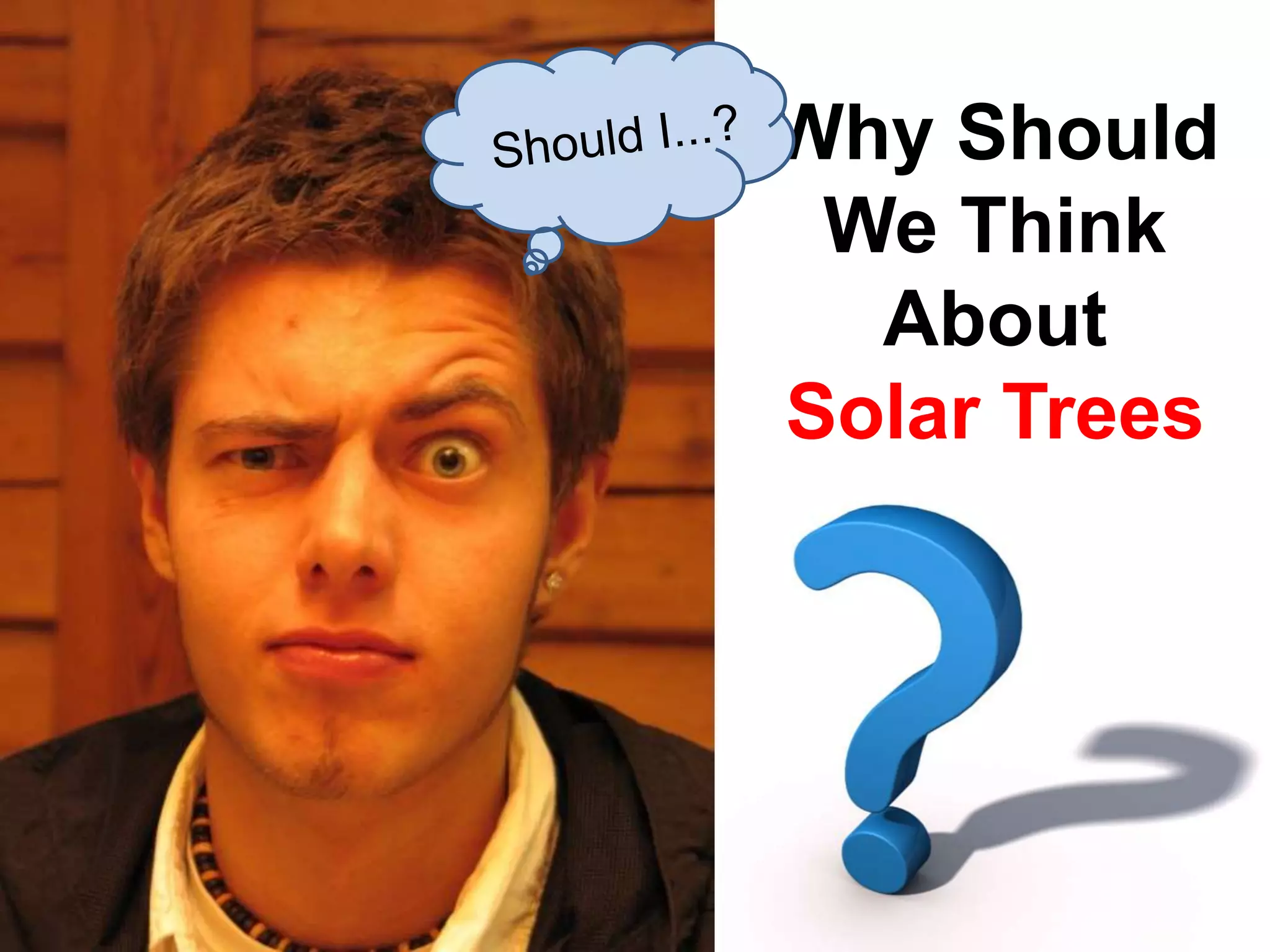 Why Should
We Think
About
Solar Trees
 