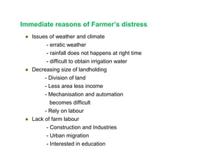 Immediate reasons of Farmer’s distress
● Issues of weather and climate
- erratic weather
- rainfall does not happens at right time
- difficult to obtain irrigation water
● Decreasing size of landholding
- Division of land
- Less area less income
- Mechanisation and automation
becomes difficult
- Rely on labour
● Lack of farm labour
- Construction and Industries
- Urban migration
- Interested in education
 