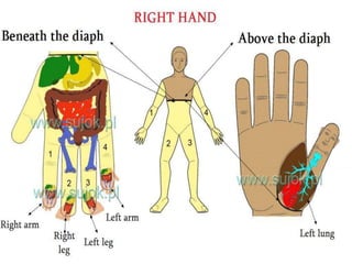 21
SU JOK ACUPRESSURE
HUMAN BODY IS A FORM OF LIFE WHICH IS A TINY AND
WELL HARMONISED UNIVERSE…….
 