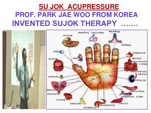 Sujok Acupressure Knee, Back,Cervical,Joint Pain