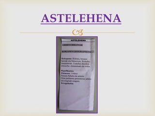 ASTELEHENA 
 
 