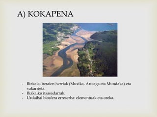 A) KOKAPENA 
- Bizkaia, beraien herriak (Muxika, Arteaga eta Mundaka) eta 
sukarrieta. 
- Bizkaiko itsasadarrak. 
- Urdaibai biosfera erreserba: elementuak eta oreka. 
 