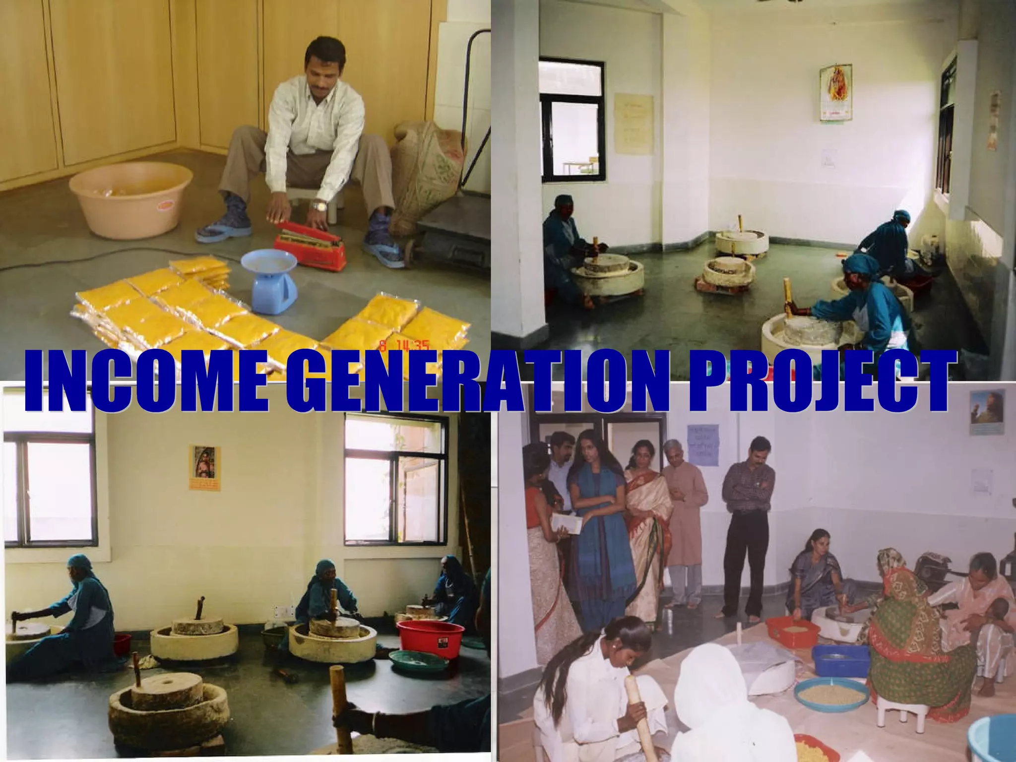 INCOME GENERATION PROJECT 