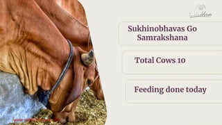Sukhinobhava Mar 13th Activities.pdf