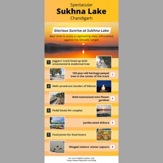 Sukhna Lake Chandigarh - A Magnificent Lake