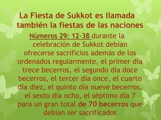 La Fiesta de Sukkot es llamada
también la fiestas de las naciones
Números 29: 12-38 durante la
celebración de Sukkot debían
ofrecerse sacrificios además de los
ordenados regularmente, el primer día
trece becerros, el segundo día doce
becerros, el tercer día once, el cuarto
día diez, el quinto día nueve becerros,
el sexto día ocho, el séptimo día 7
para un gran total de 70 becerros que
debían ser sacrificados
 