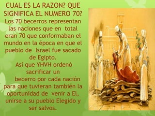 CUAL ES LA RAZON? QUE
SIGNIFICA EL NUMERO 70?
Los 70 becerros representan
las naciones que en total
eran 70 que conformaban el
mundo en la época en que el
pueblo de Israel fue sacado
de Egipto.
Así que YHVH ordenó
sacrificar un
becerro por cada nación
para que tuvieran también la
oportunidad de venir a El,
unirse a su pueblo Elegido y
ser salvos.
 