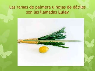 Las ramas de palmera u hojas de dátiles
son las llamadas Lulav
 