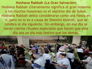Hoshana Rabbah (La Gran Salvación)
Hoshana Rabbah (literalmente significa el gran hosanna
o los muchos hosannas) es el séptimo día de Sukot.
Hoshana Rabbah debía considerarse como una fiesta en
sí, pero no lo es a causa de Shemini Atzeret, que se
celebra al día siguiente. Sin embargo, en ese día se
hacen ciertos rituales especiales que hacen que este
día sea un día más festivo que los demás.
 