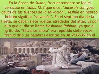 En la época de Sukot, frecuentemente se lee el
versículo en Isaías 12:3 que dice: "Sacaréis con gozo
aguas de las fuentes de la salvación". Yeshúa en hebreo
hebreo significa "salvación". En el séptimo día de la
fiesta, se daban siete vueltas alrededor del altar. Es por
ello que el día se llama Hoshanah Rabbah, ya que el
grito de: "Sálvanos ahora" era repetido siete veces.
Yeshúa dijo las palabras escritas en Jn 7:37-39 en el
día de Hoshana Rabbah.
 