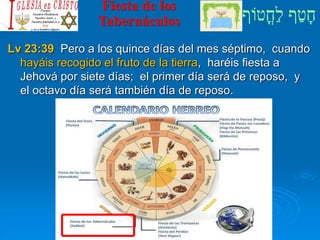 ‫ֳטֹוף‬‫ח‬ַ‫ל‬ ‫ף‬ַ‫ט‬ָ‫ח‬
Fiesta de los
Tabernáculos
Lv 23:39 Pero a los quince días del mes séptimo, cuando
hayáis recogido el fruto de la tierra, haréis fiesta a
Jehová por siete días; el primer día será de reposo, y
el octavo día será también día de reposo.
 